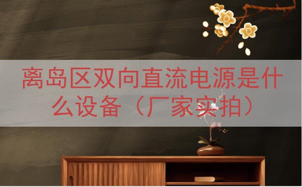 离岛区双向直流电源是什么设备（厂家实拍）